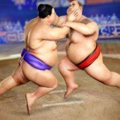 相扑摔跤战士v2.7