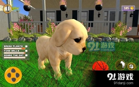 可爱的虚拟小狗v0.14截图1