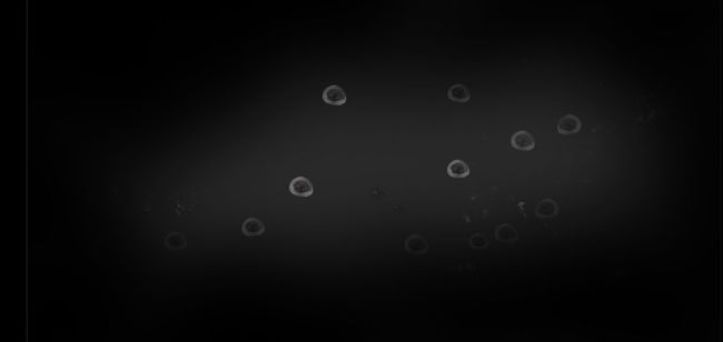 釜中游鱼v1.7截图3