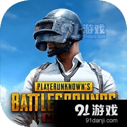 地铁逃生pubg国际服2.5版本v1.20.252