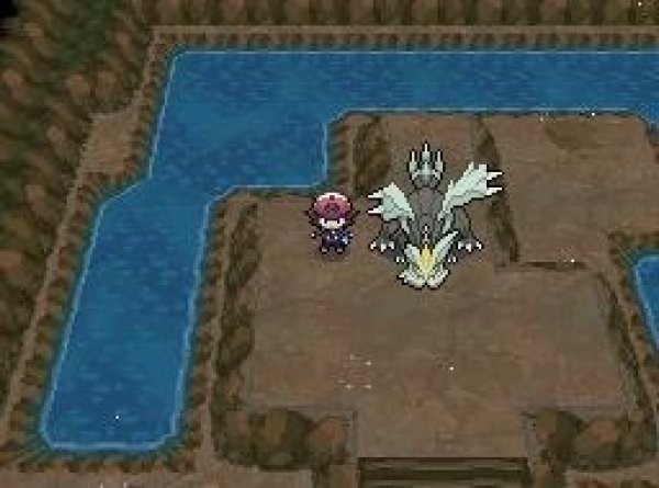 口袋妖怪黑白2中文版v1.0.7截图2