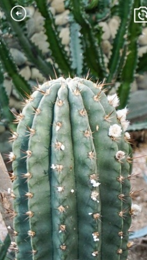 妙妙生活贴心宝v1.0.3截图3