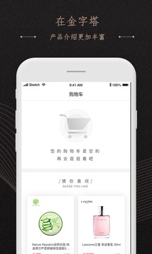 金字塔appv4.5.5截图1