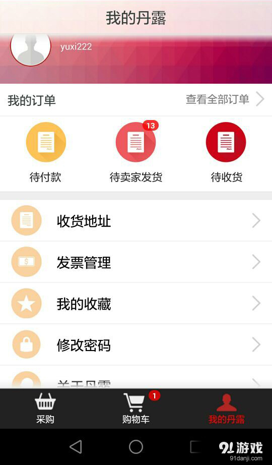 丹露终端店v2.8.5截图1