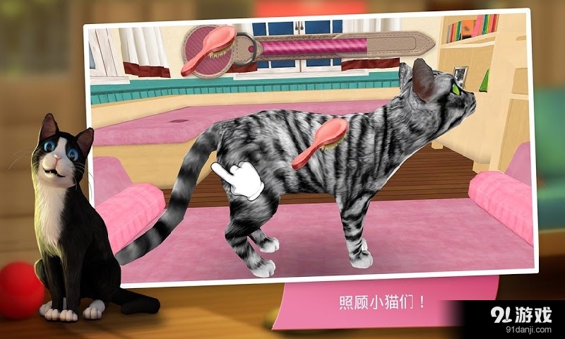 猫舍v2.3.16195截图2