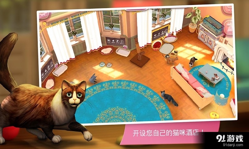猫舍v2.3.16195截图1