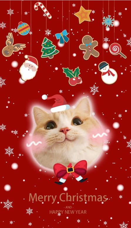 猫咪锁屏v1.8截图1