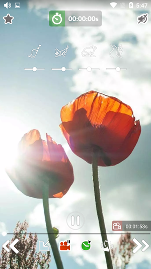 聆听安静的内心v1.16截图3