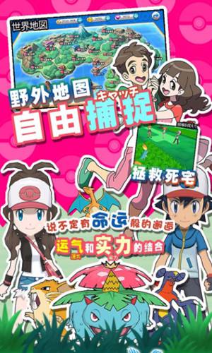 口袋喵喵游戏v1.8截图1