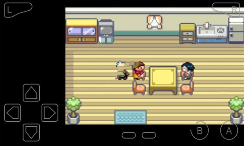 口袋妖怪绿宝石493最终版v.01.07.19截图3