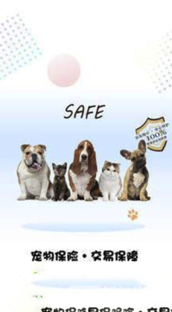 宠小七手机版vV1.6截图1