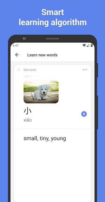 学汉语v3.22.5截图1