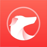 灵缇加速器手机版v4.1.12