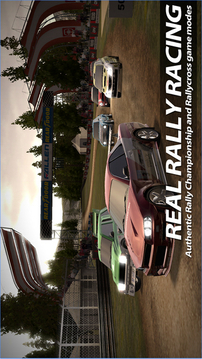 拉力竞速v1.7截图1