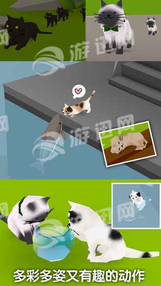 猫猫与鲨鱼免费版v1.6截图4