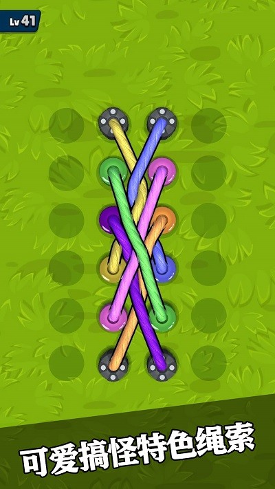 彩虹绳结3D国际版v306.1.0.3019截图4