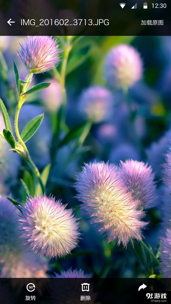 无限相册v2.10截图1