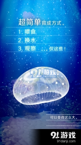 治愈的养成水母中文版v4.11截图3