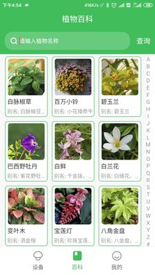 森林甜心v1.3.7截图5