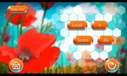 狩猎蜜蜂v1.11截图1