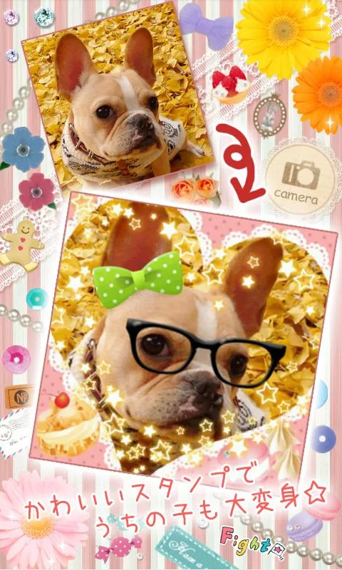 大头贴相机v2.5.6截图3