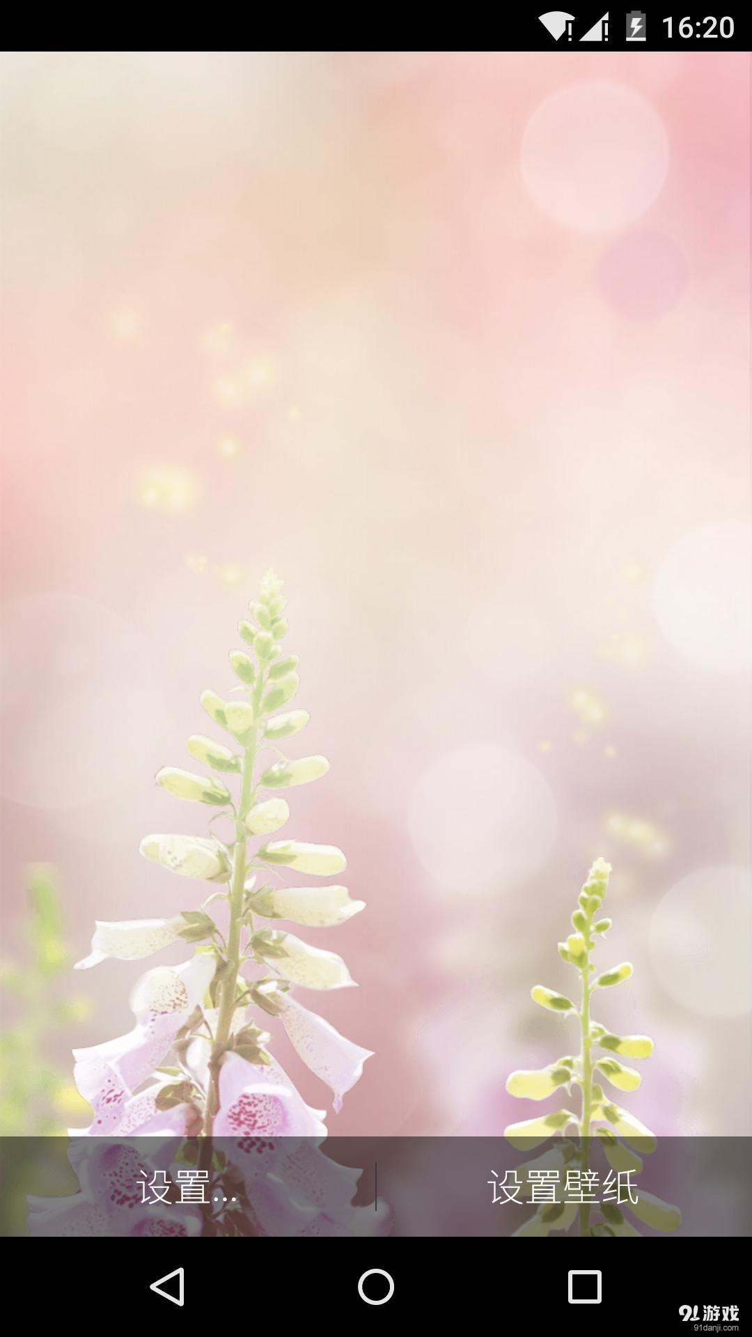 相望v1.7.11截图4