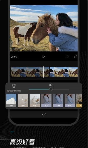剪映去水印v6.11.6截图3