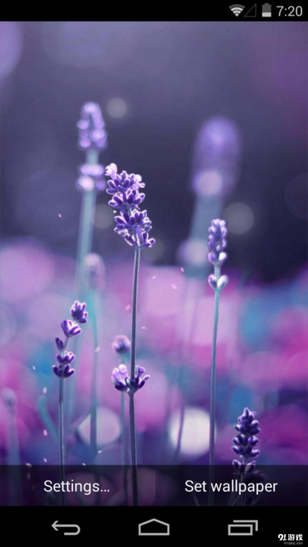 恋恋薰衣草v1.5.17截图3