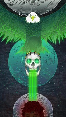 AVA埃娃的塔罗牌v2.12截图2