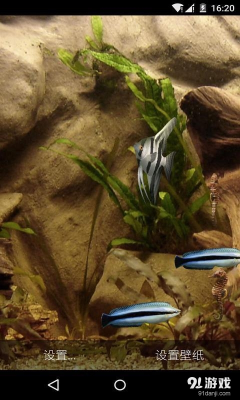3D清新水族馆v1.7.15截图4