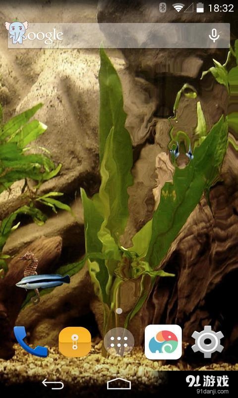 3D清新水族馆v1.7.15截图2