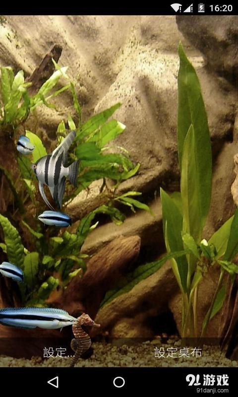3D清新水族馆v1.7.15截图3