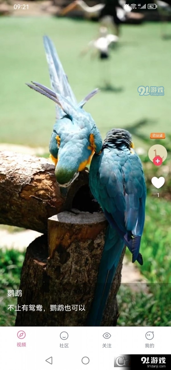 紫猫短视频v1.5.6截图3