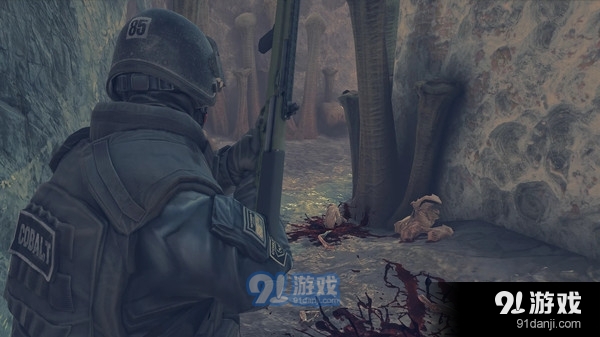 疯狂之墙v1.42截图2