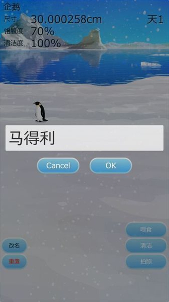 治愈的企鹅育成游戏v3.11截图1