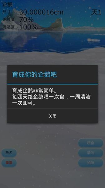 治愈的企鹅育成游戏v3.11截图2