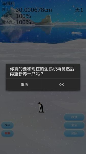 治愈的企鹅育成游戏v3.11截图4
