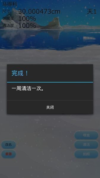 治愈的企鹅育成游戏v3.11截图5