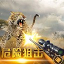 终结荒野精英