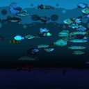轻松养鱼水族馆汉化版