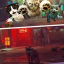 猫咪城市模拟