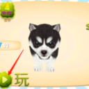 猫咪模拟器