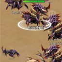 昆虫超进化