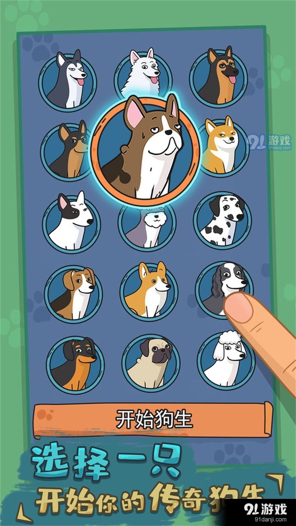 狗生模拟器v236截图2