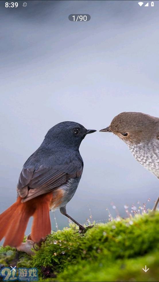 照片拼图呀Prov1.6截图4