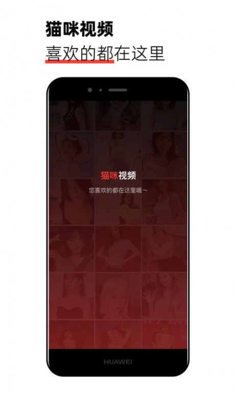 喵咪视频v1.0.6截图1
