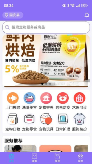 宠星v1.0.1截图2