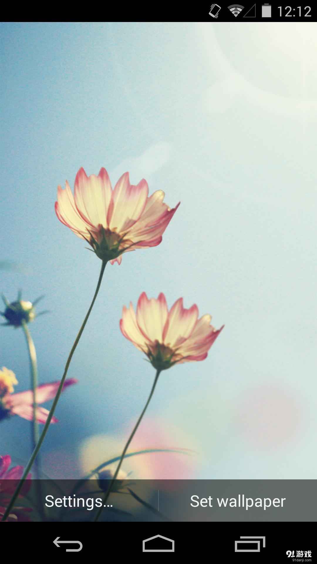 花间晨光v1.7.15截图2