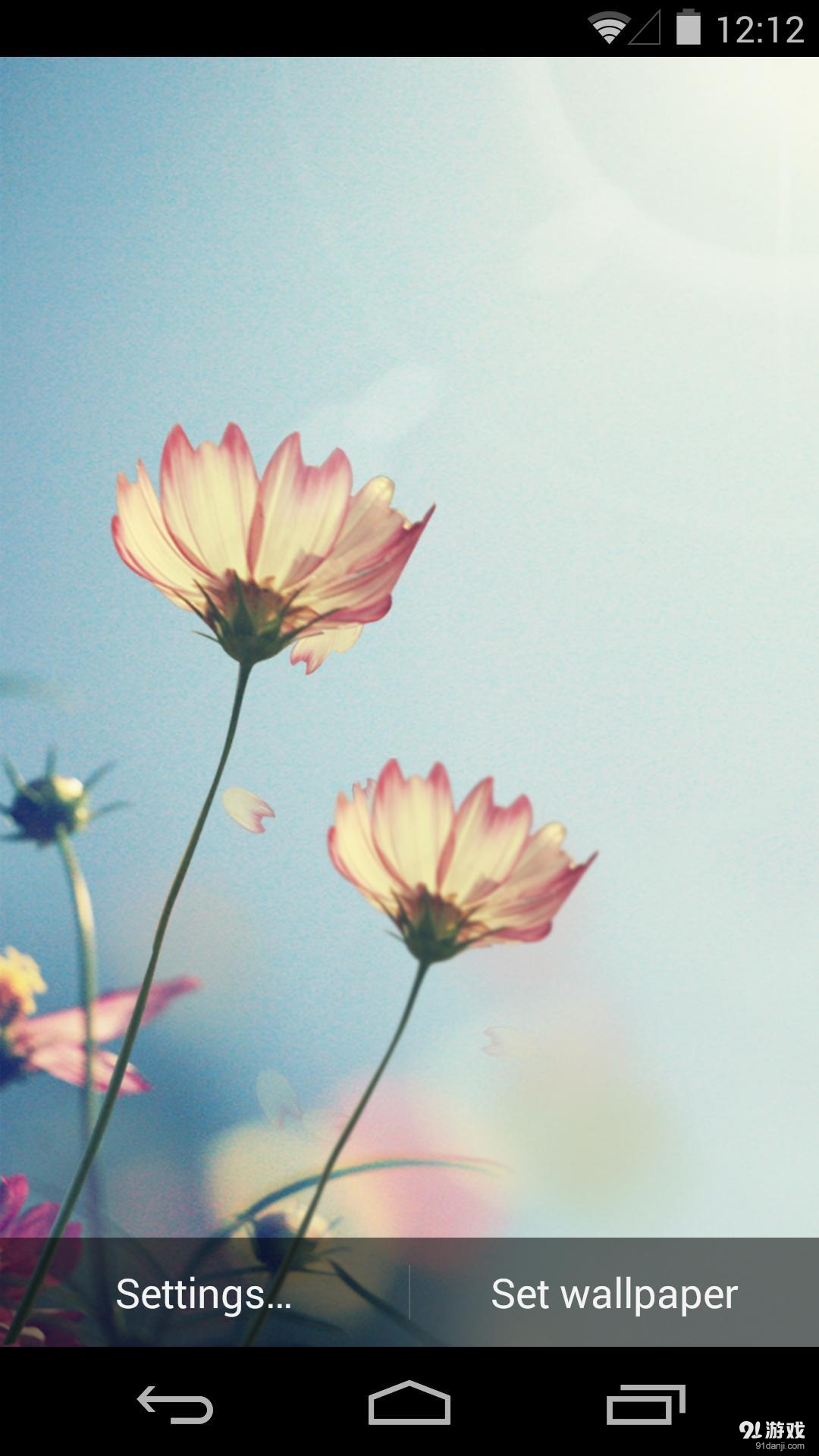 花间晨光v1.7.15截图4