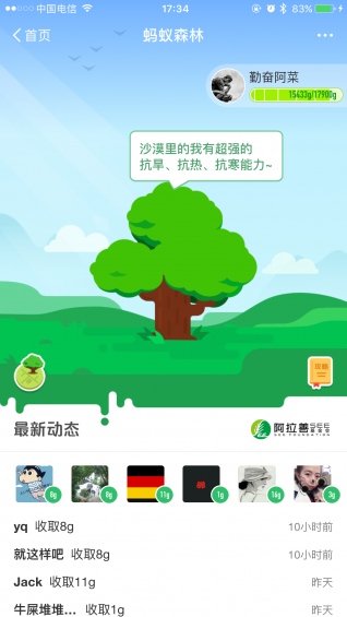 支付宝能量自动收取插件v10.4.28.7005截图1